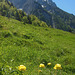 Am Zahmen Kaiser in Tirol