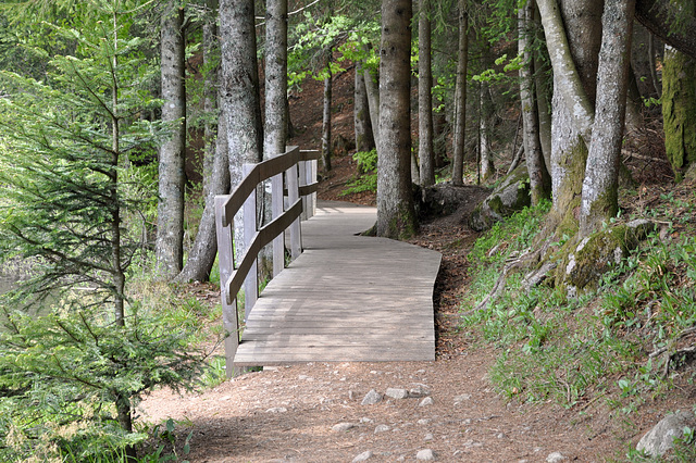 Lac de Lispach Vosges