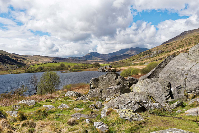 Lake Llynnau landscape (2)