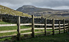 An Ingleborough fence