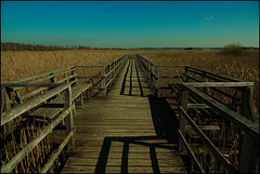 Holzweg