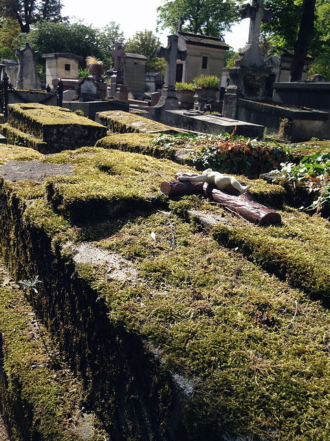 Oubliés, même au Père Lachaise.