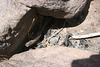 IMG 5791