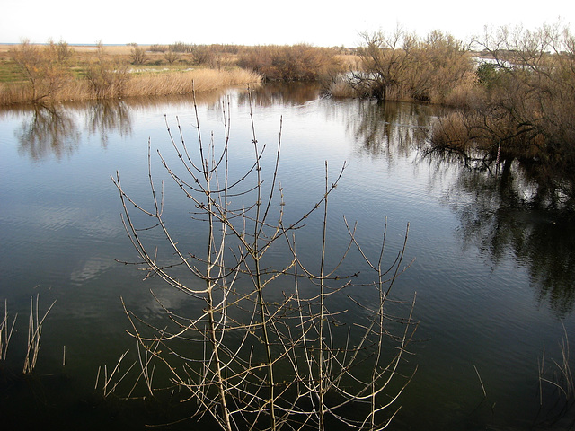 Parc Natural dels Aiguamolls de l’Empordà