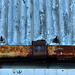 Corrugated And Rusted