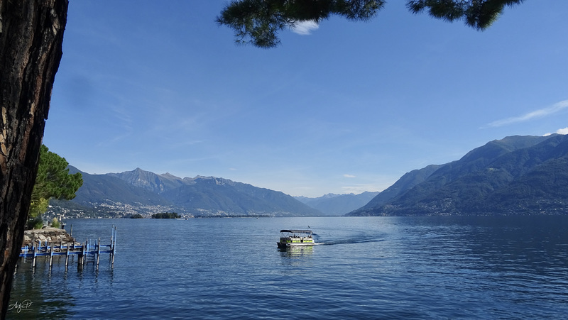 taxi boat