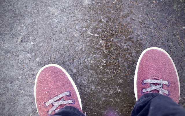 Shoes On ICE