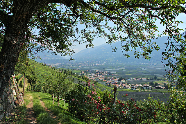 Blick vom Marlinger Waalweg ins Etschtal