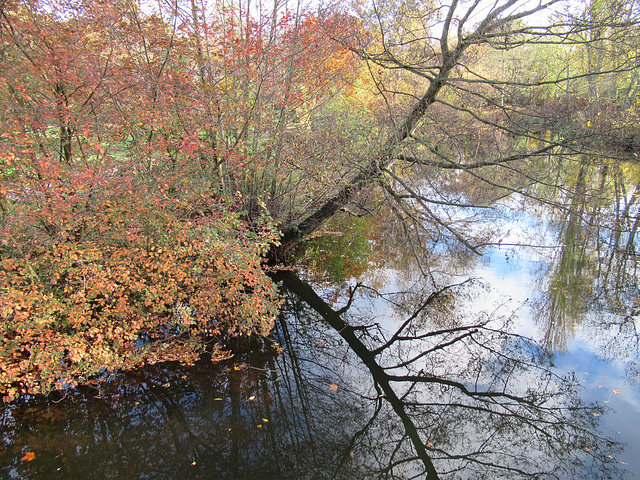 Pittville, Cheltenham, in Autumn