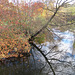 Pittville, Cheltenham, in Autumn