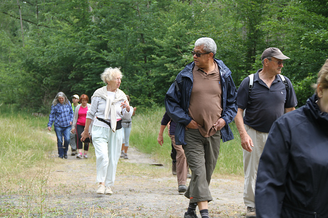 Randonnée Bombon-La Chapelle Gauthier-Bombon  - 20/06/2015