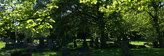 Sunny Cemetery