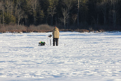 lake life:ice fishing