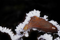 Die Natur ist eine gute Künstlerin - Nature artwork