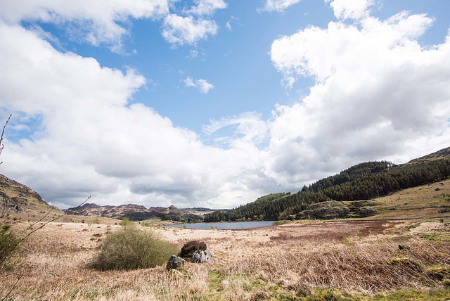 Lake Mymbyr landscape (1)