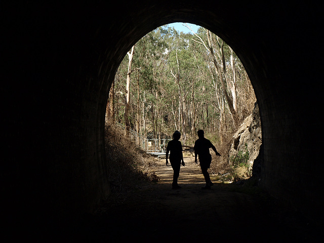 Muntapa Tunnel 272559