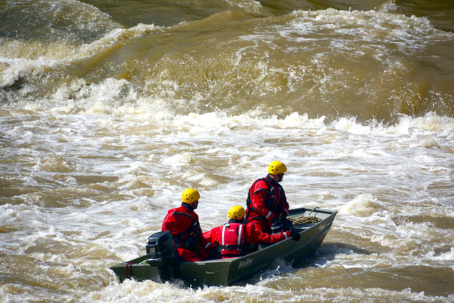 Second day was at the roiling waters of White's Mill dam