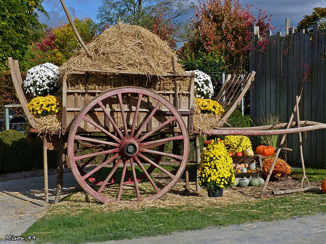 Fête de l'automne à TERRA BOTANICA