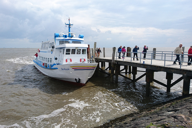 Ankunft auf Hallig Hooge