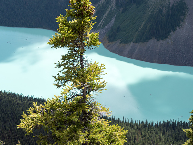 Lake Louise