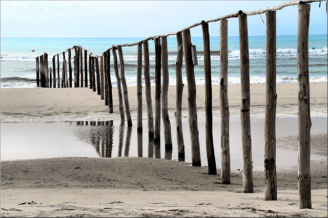 [Happy Fence Friday]