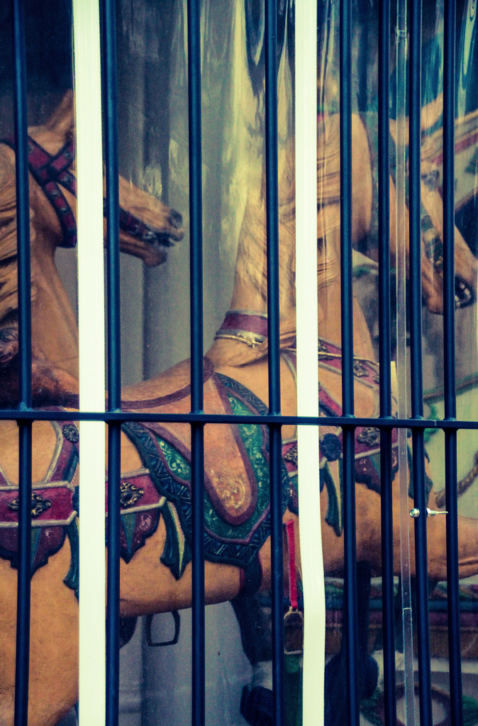 Wild Horses