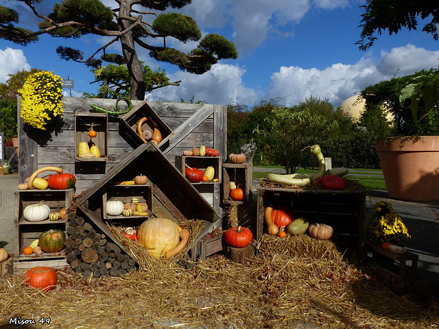 Fête de l'automne à TERRA BOTANICA