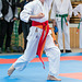 kj-karate-611 15611934627 o