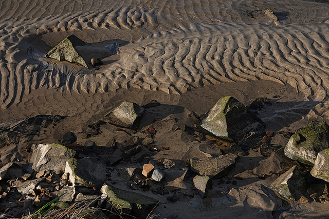 Rocks and Ripples