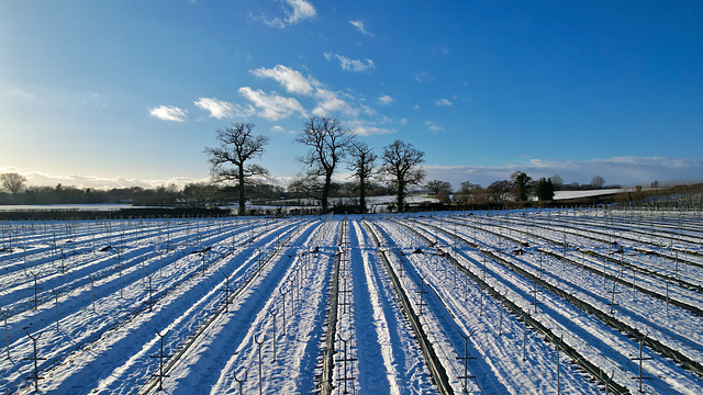 Gnosall snow