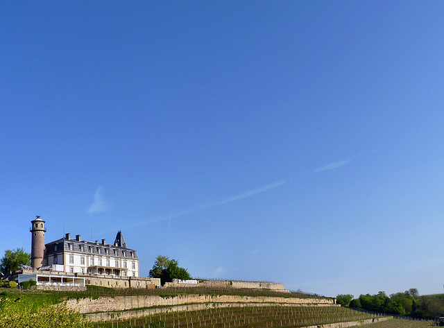 Rouffach - Château d'Isenbourg