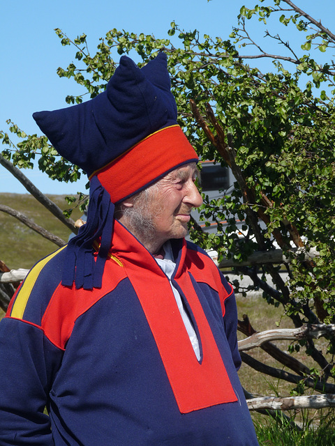 Sami Reindeer Herdsman