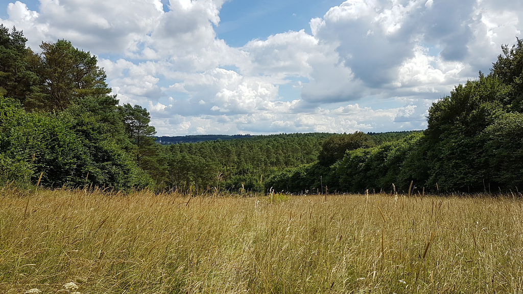 Blankenheim 20160806_144753