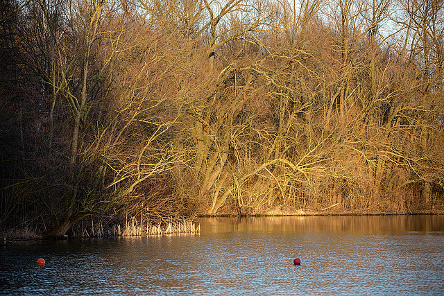 20150228 7080VRTw [D~LIP] Stemmer See, Kalletal-Varenholz