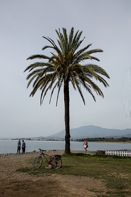 20161020 2345VRAw [E] Atalaya Park Hotel, Estepona, Spanien