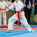 kj-karate-616 15611689148 o