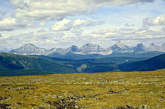 Plateau Mountain Alberta Canada 5th August 1982