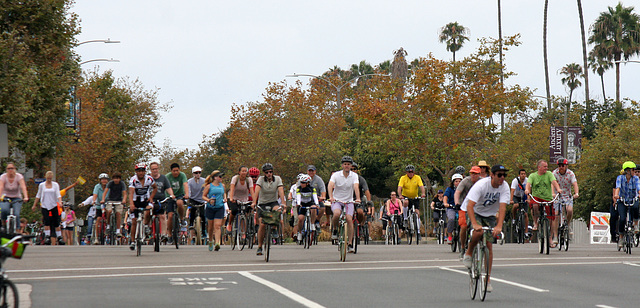 CicLAvia (7462)