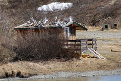 Self-decorated hunting cabin