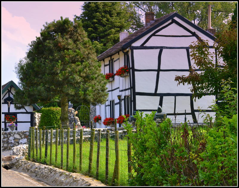 Timbered beauty