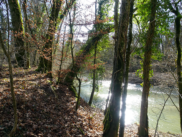 Unterwegs am Fluss La Venoge