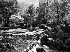 Fontaine de Vaucluse BW