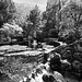 Fontaine de Vaucluse BW