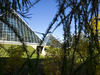 The Muttart Conservatory Pyramids