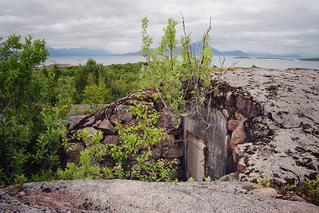 Shelter