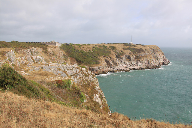 Berry Head