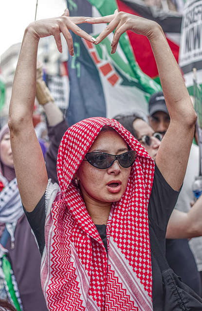 National March for Palestine