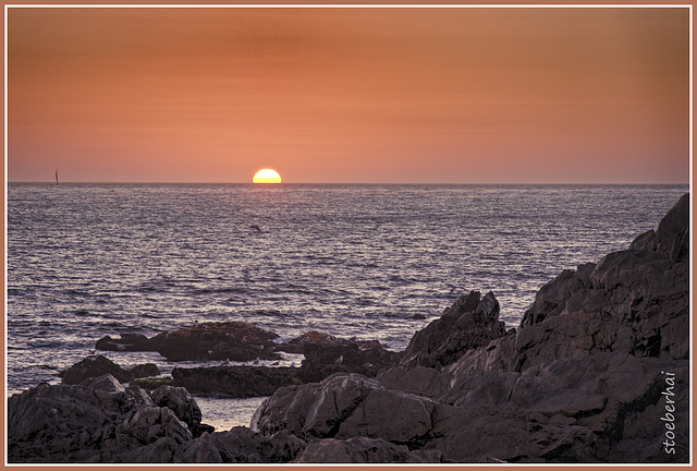 Sunset with dolphin in Porto