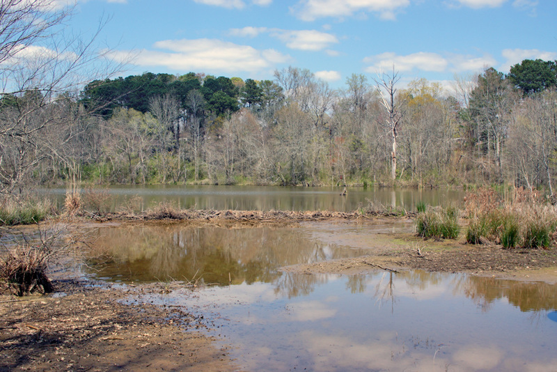 Beaver Dam