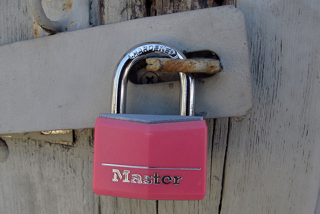 Pink Padlock (1455)